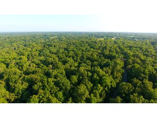 TRACT 75 - ILLINOIS LAND AUCTION - 4,810+/- ACRES OFFERED IN 85 TRACTS IN FRANKLIN, WILLIAMSON, HAMILTON & SALINE COUNTIES, ILLINOIS